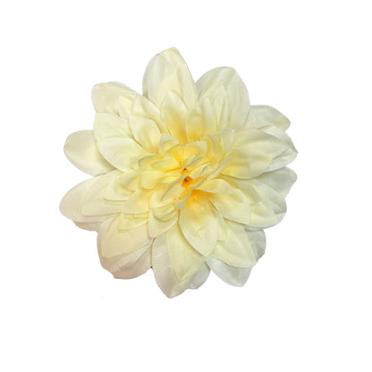 Lemon Flr M Chrysanthemum (Mother Guldabri) (Pack of 100)