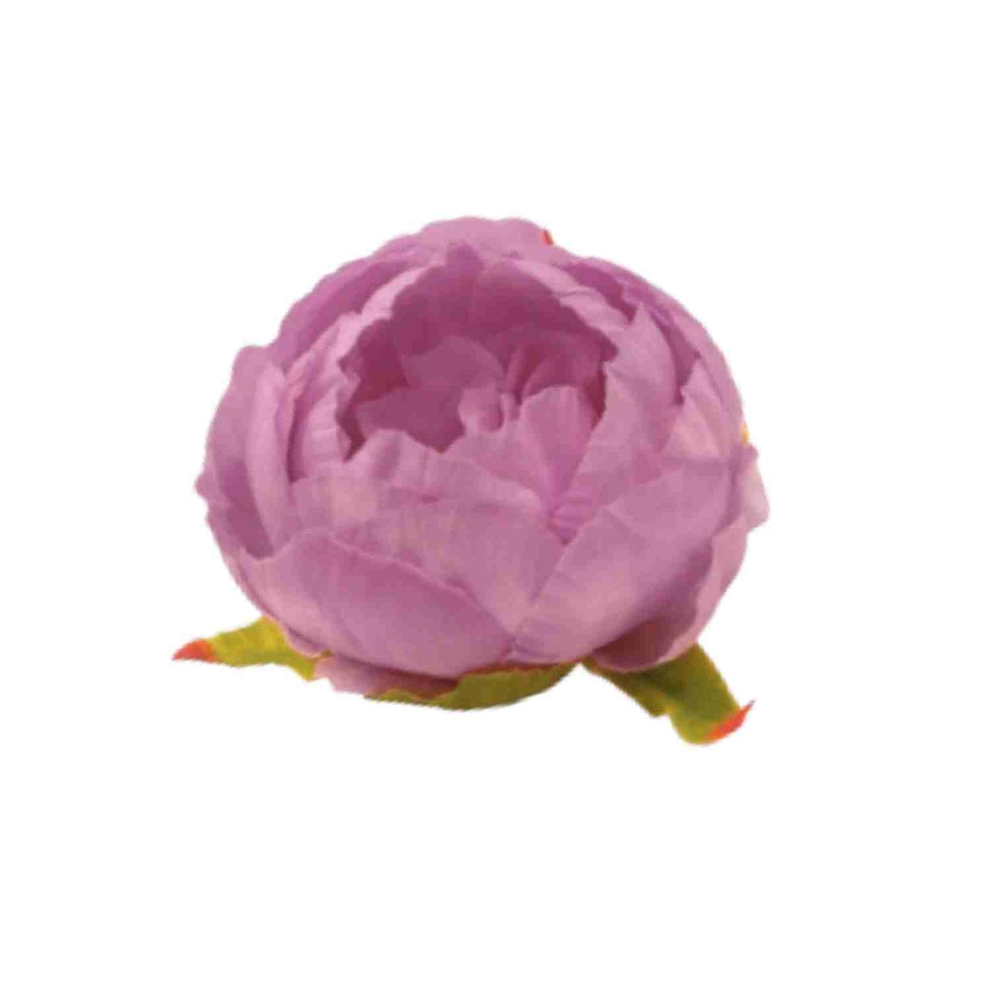 D/S Pink Peony (Pack of 50)