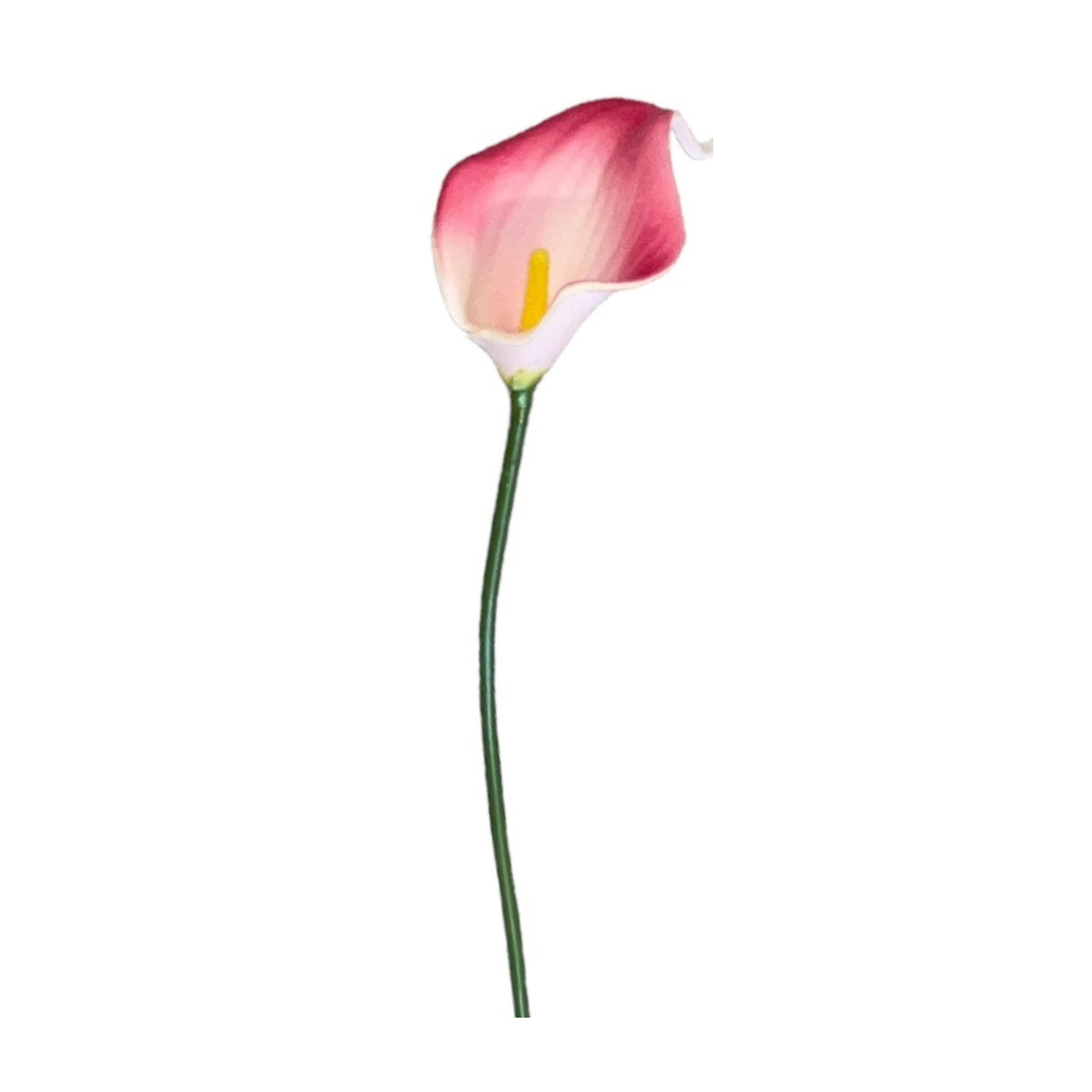 Calla Lilly Small Pink (Pack of 10)
