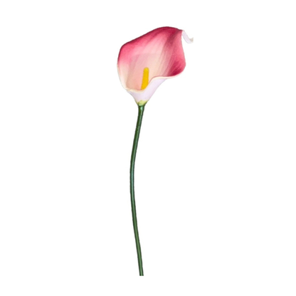 Calla Lilly Small Pink (Pack of 10)