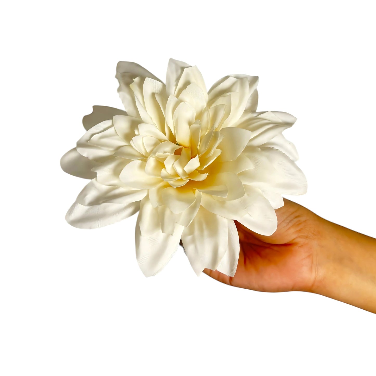 Lemon Flr M Chrysanthemum (Mother Guldabri) (Pack of 100)