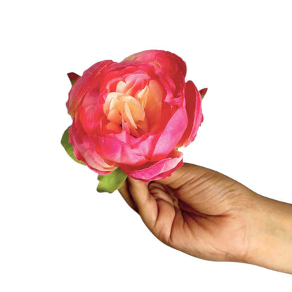 Gajri Peony (Pack of 50)