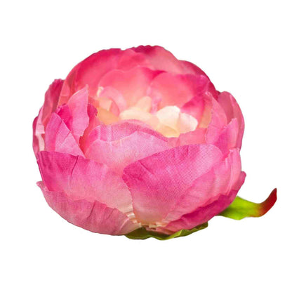 Gajri Peony (Pack of 50)