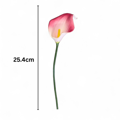 Calla Lilly Small Pink (Pack of 10)