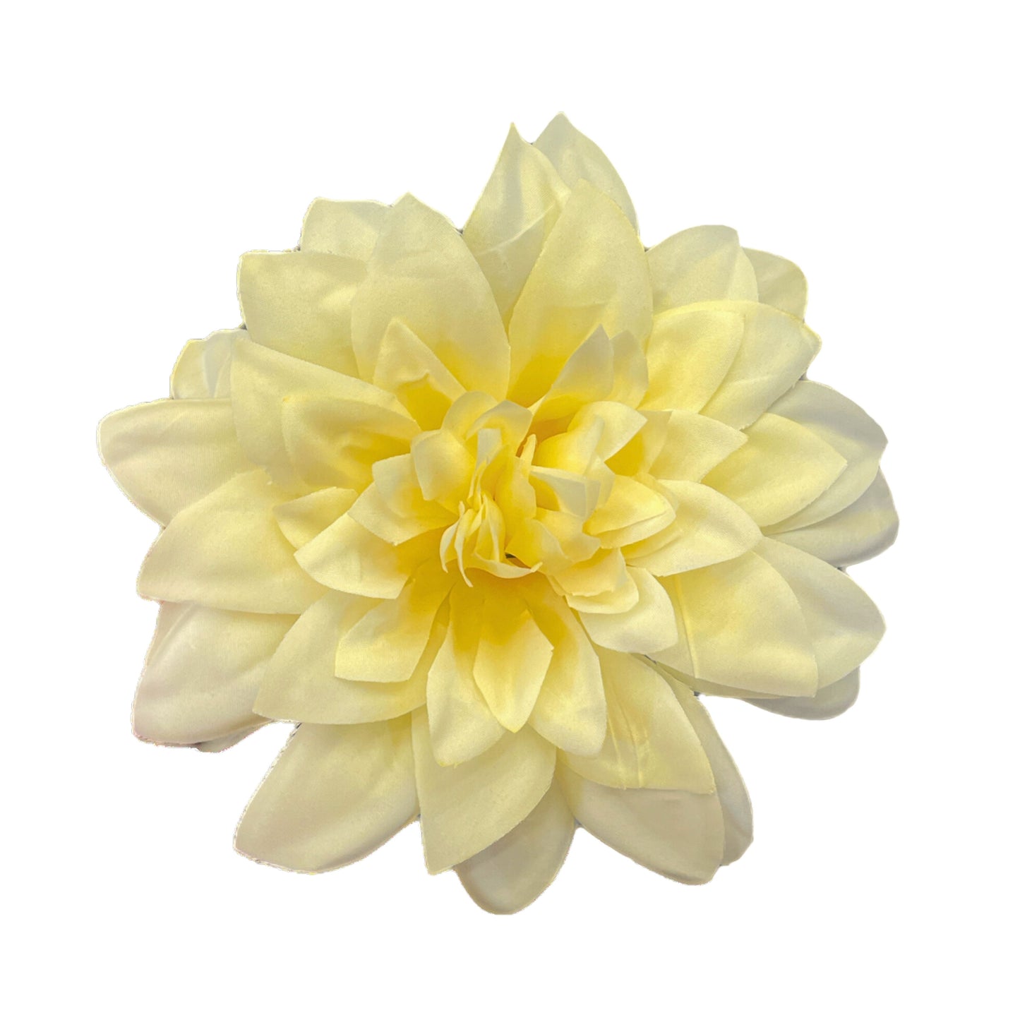 D/S Peach Flr M Chrysanthemum (Mother Guldabri) (Pack of 100)