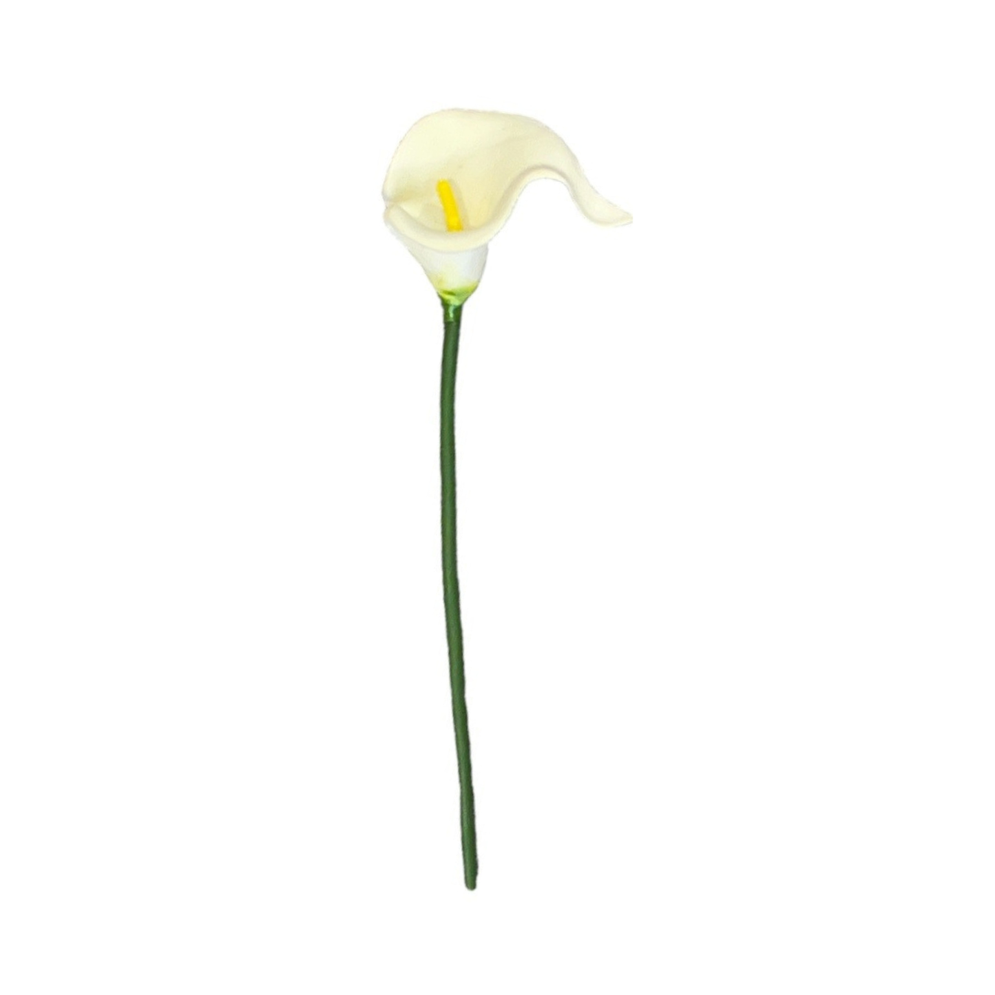 Calla Lilly Small White (Pack of 10)