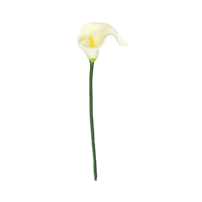 Calla Lilly Small White (Pack of 10)