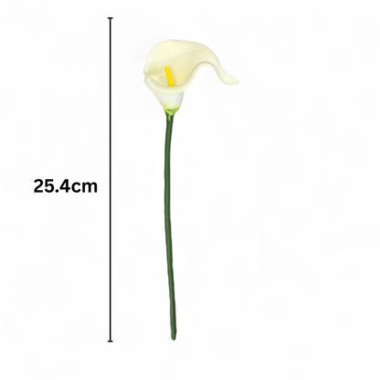 Calla Lilly Small White (Pack of 10)