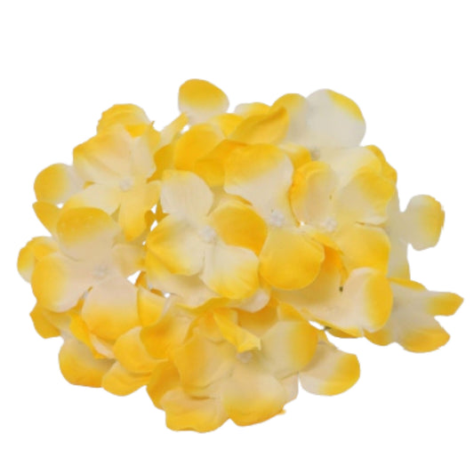 Yellow White Flr Hydrangea 27 Petals (Pack of 100)