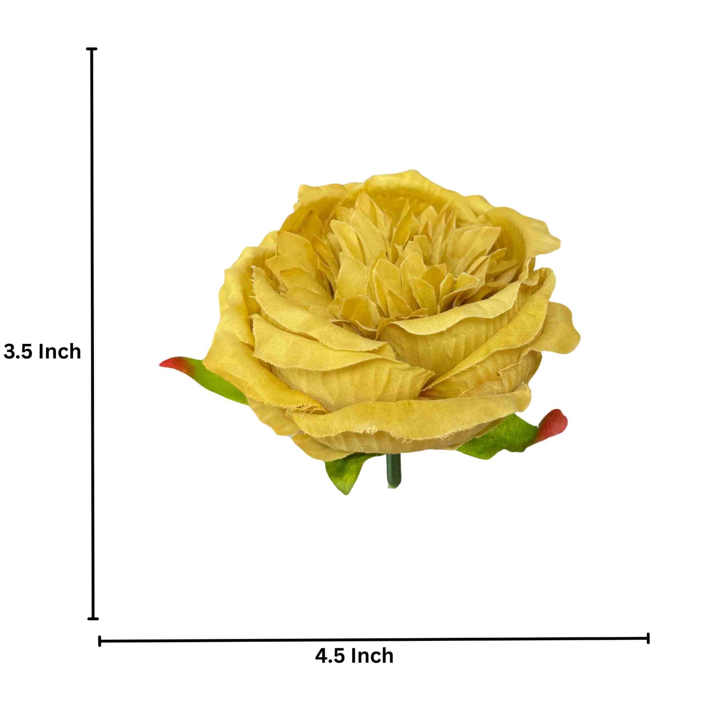 Golden Diamond Peony (Pack of 50)