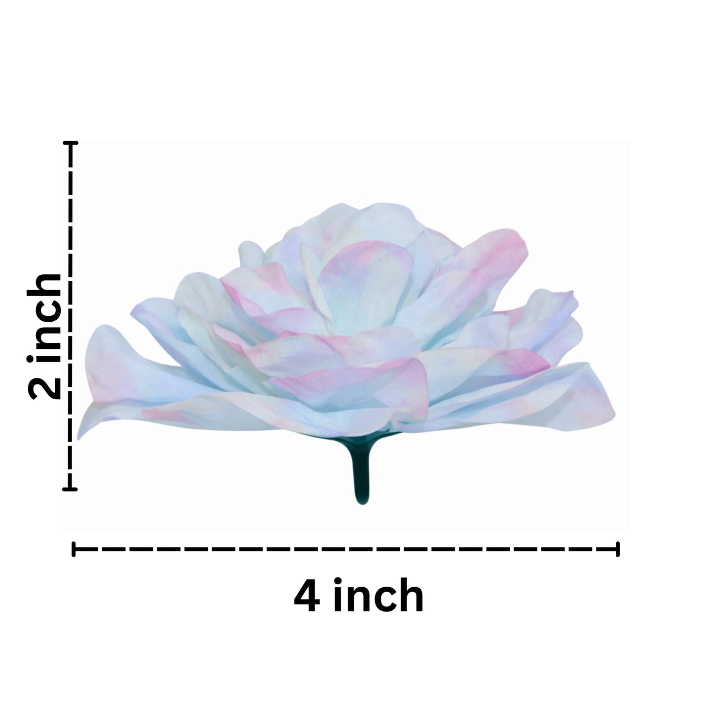 Iridescent flower with measurements on a white background