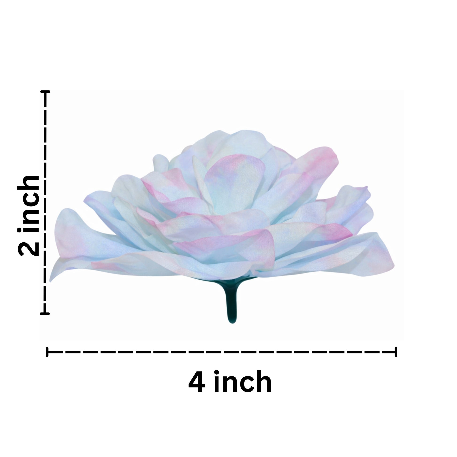 Iridescent flower with measurements on a white background