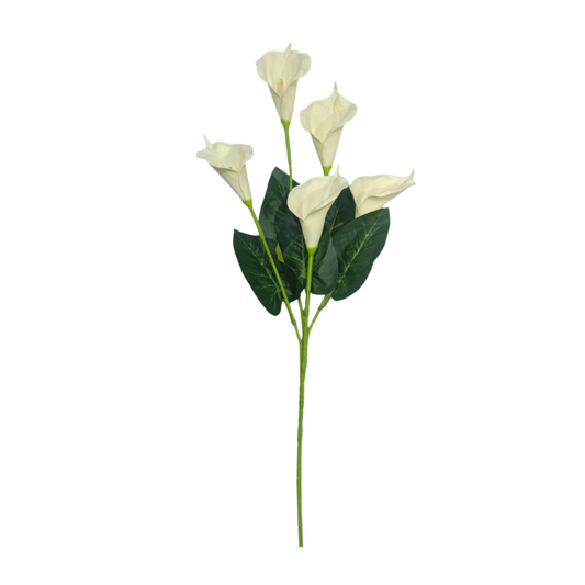 Cala Lily Stick 5 Head 34" Purple White (Pack of 10)