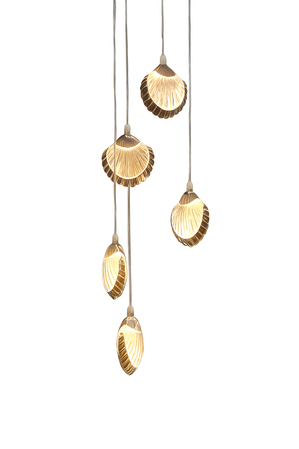 Hanging Shell Light (Set of 5 Pc's)