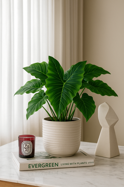 Alocasia Leaf 18" (Pack of 10)