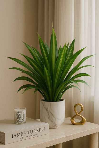 Bamboo Leaf 22" D/S Green (Pack of 10)