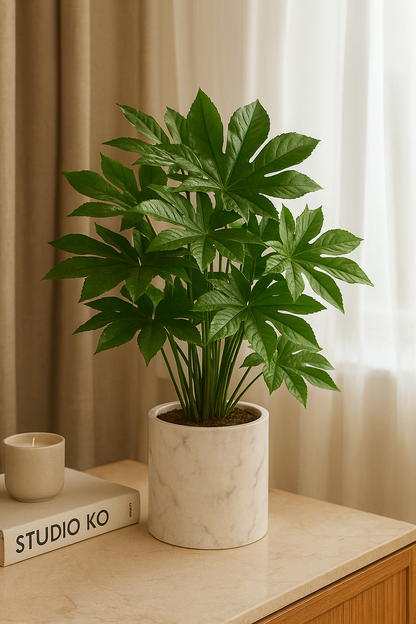 Leaf Stick Mapple 45x24 cm Green (Pack of 10)