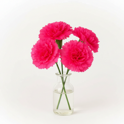 Clear glass vase with bright pink flowers on a white background
