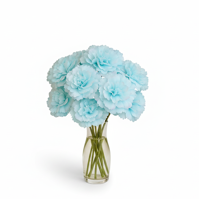 Sky blue Big Carnation (Pack of 200)