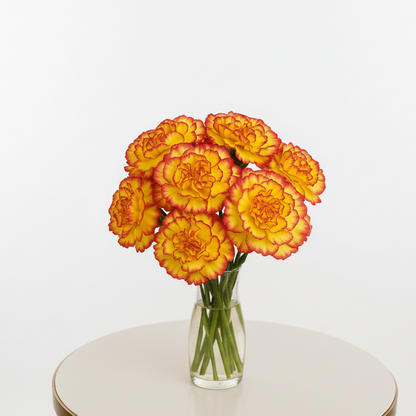 Lemon yellow Big Carnation (Pack of 200)