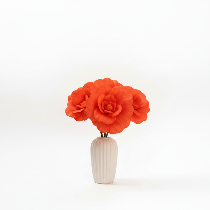 Vase with red flowers on a white background