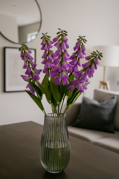Lapageria Rosea 83Cm Lavender (Pack of 10)