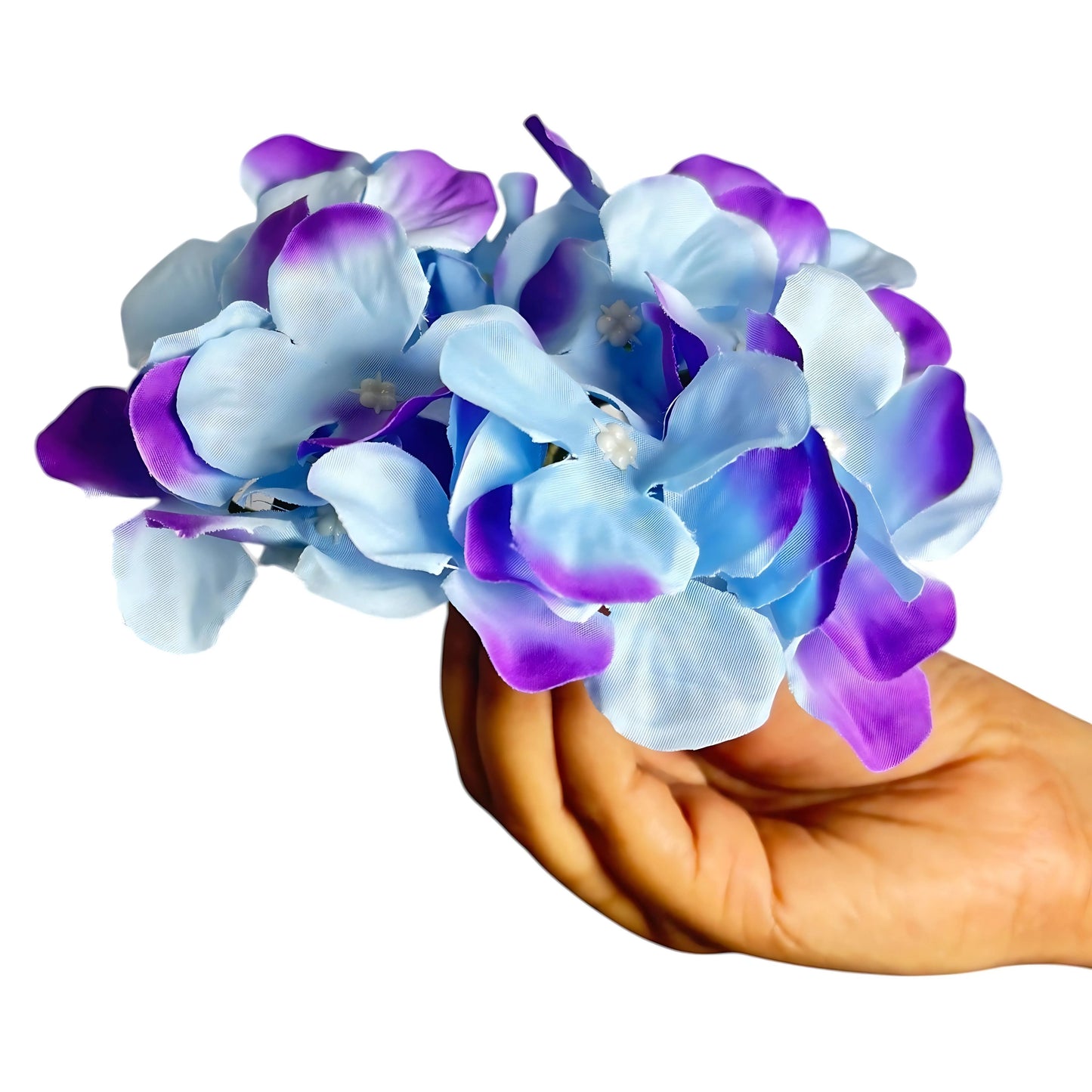 Sky Blue Purple Flr Hydrangea 27 Petals (Pack of 100)
