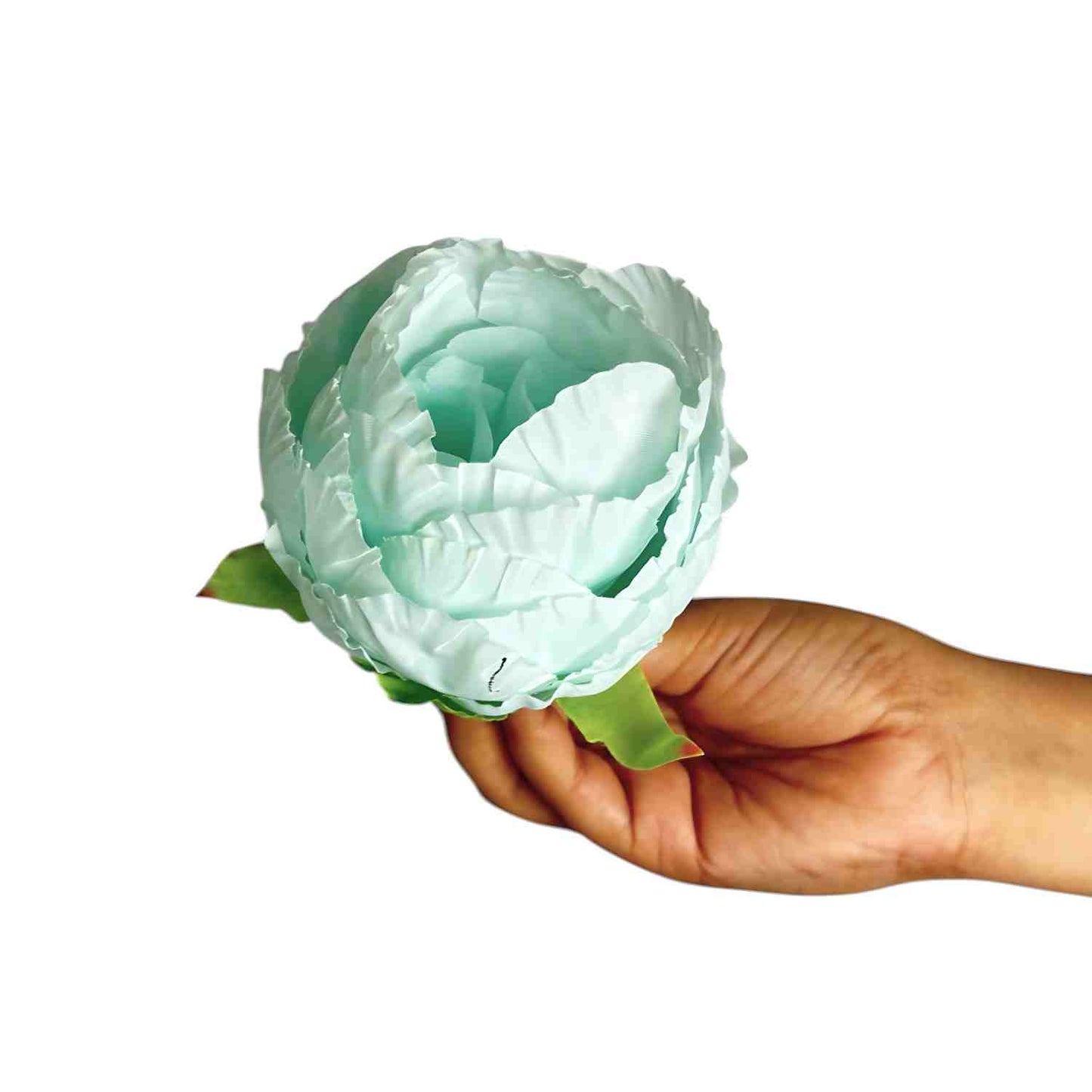 Sea Green Peony (Pack of 50)