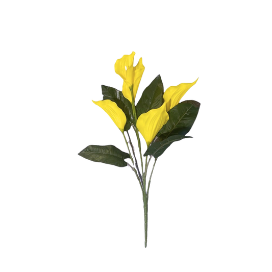 Cala Lily Stick 5 Head 34" Yellow (Pack of 10)