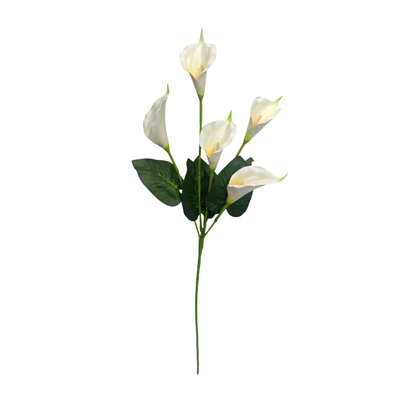 Cala Lily Stick 5 Head 34" White (Pack of 10)