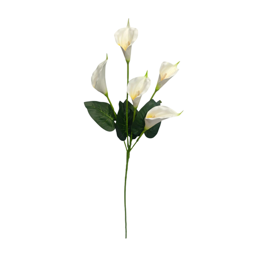 Cala Lily Stick 5 Head 34" White (Pack of 10)