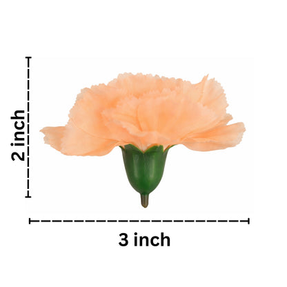 Light Peach Carnation (Pack of 200)