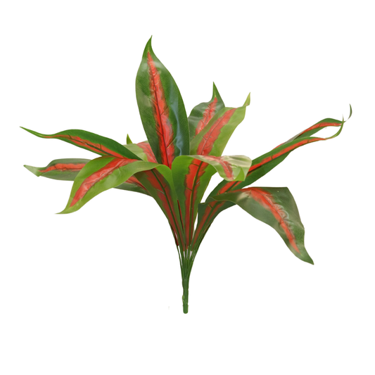 Bunch Forked Magnolia D/s Green Red (Pack of 5)