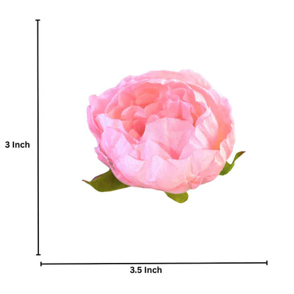 Light Peach Pink Peony (Pack of 50)