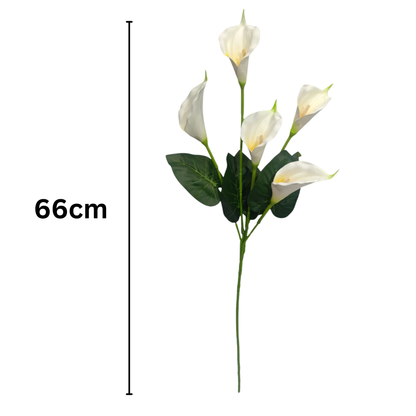 Cala Lily Stick 5 Head 34" White (Pack of 10)