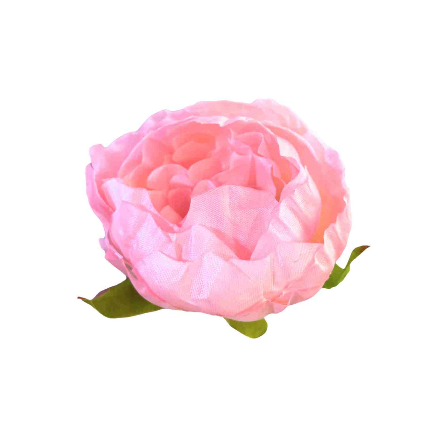 Light Peach Pink Peony (Pack of 50)