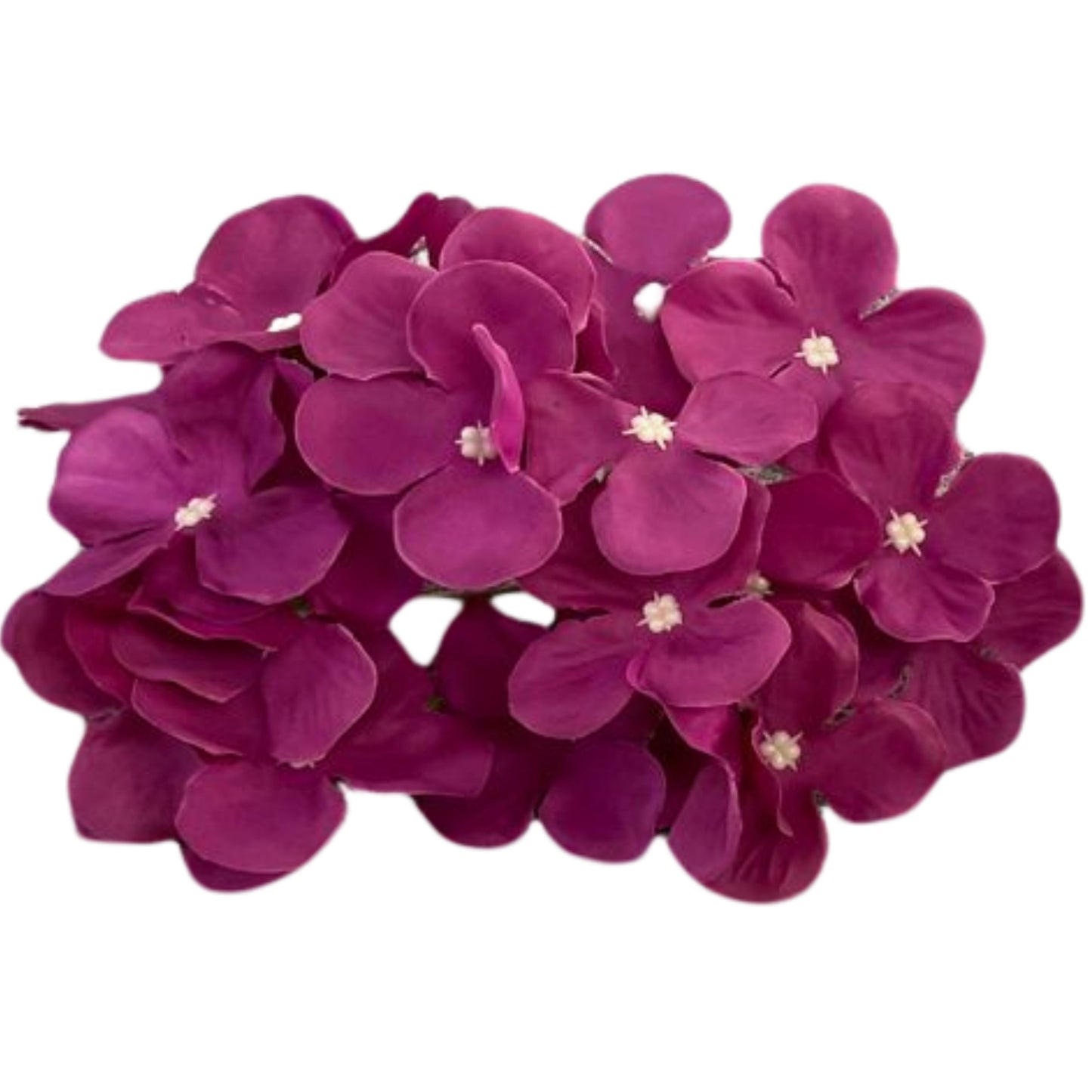 Dark Purple Flr Hydrangea 27 Petals (Pack of 100)