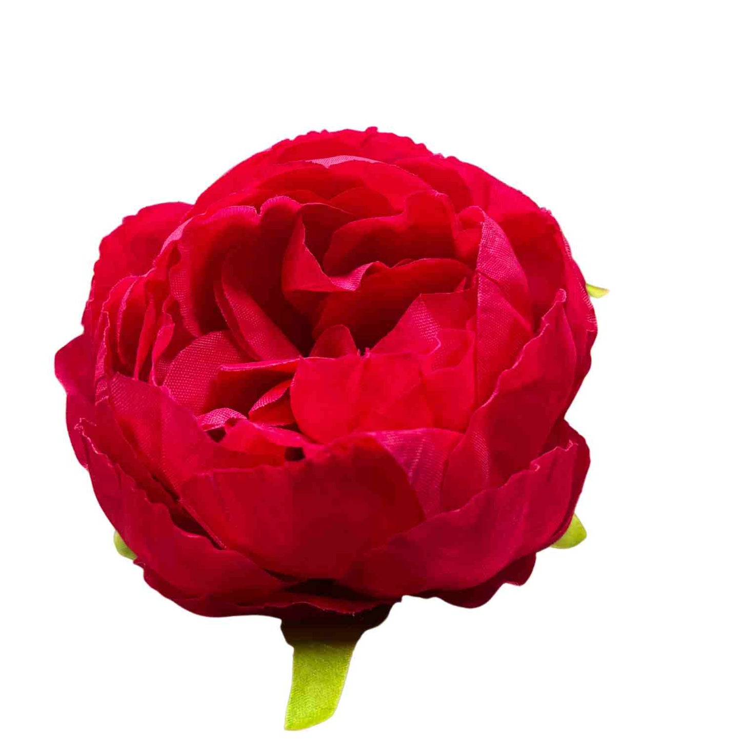 Magenta Peony (Pack of 50)