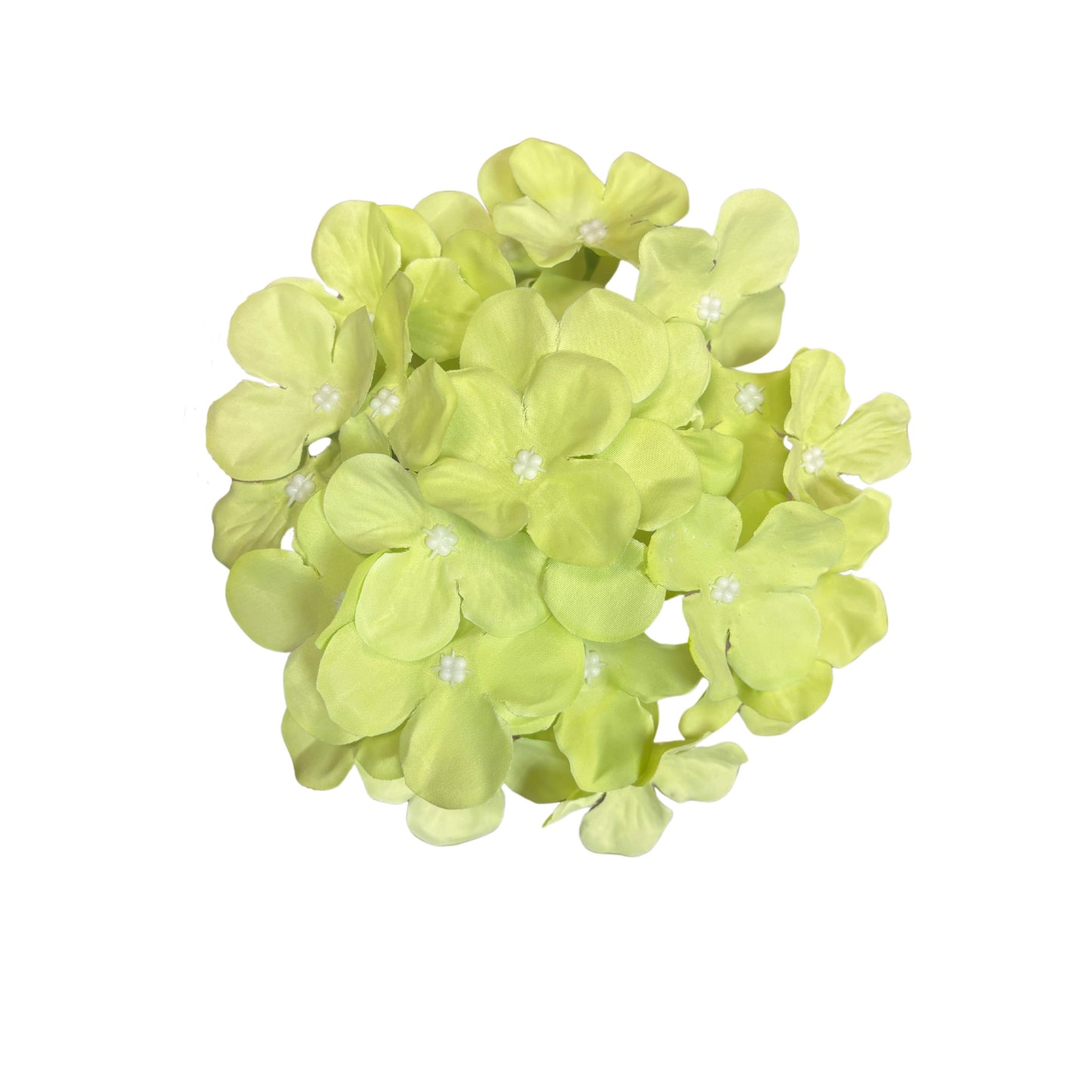 Green Flr Hydrangea 27 Petals (Pack of 100)