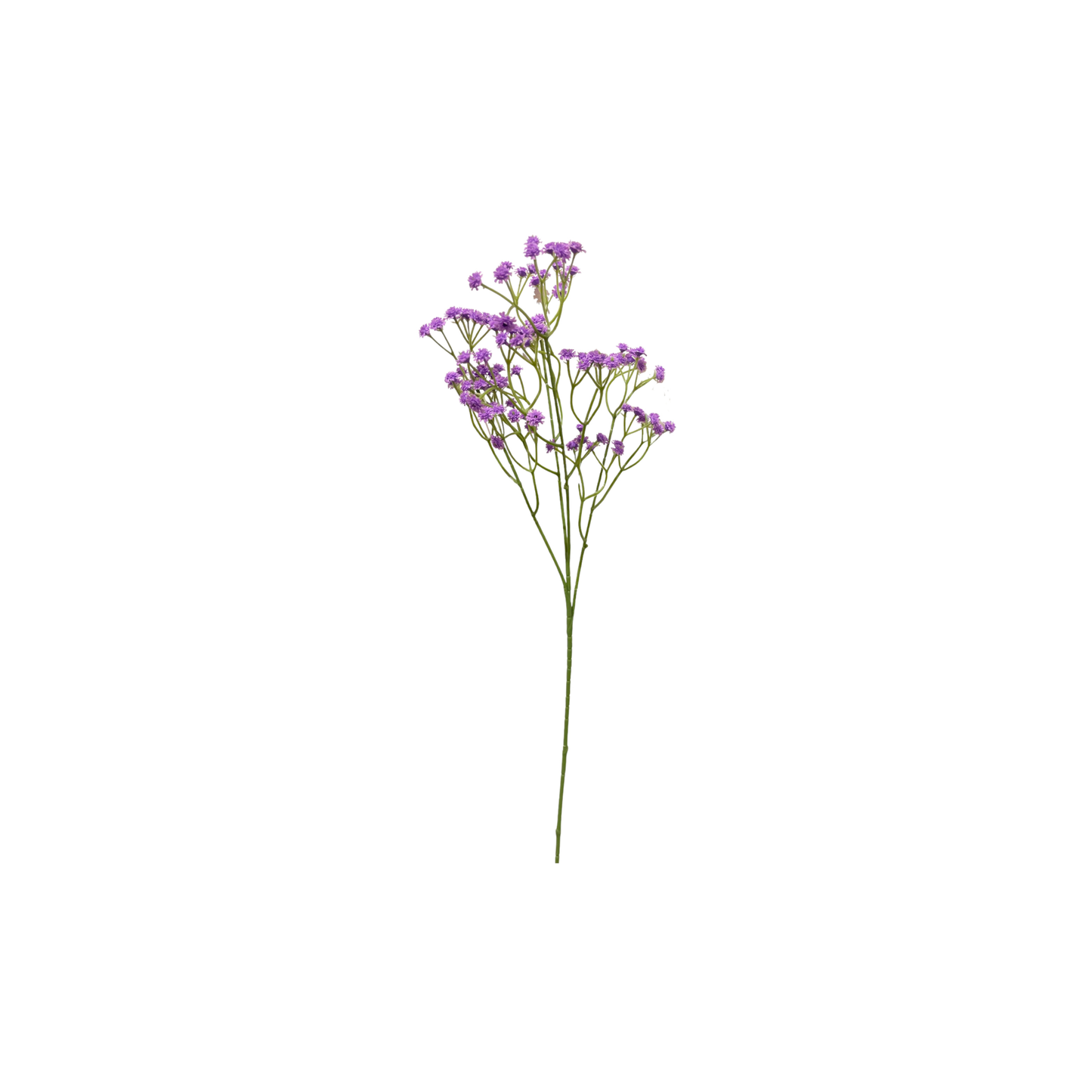 Gypsy Stick 24" Dark Purple (Pack of 10)
