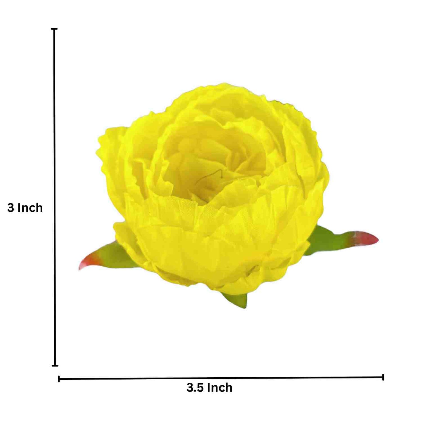 Yellow Peony (Pack of 50)