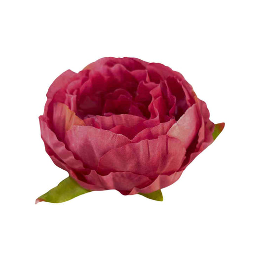 Mehroon White Peony (Pack of 50)
