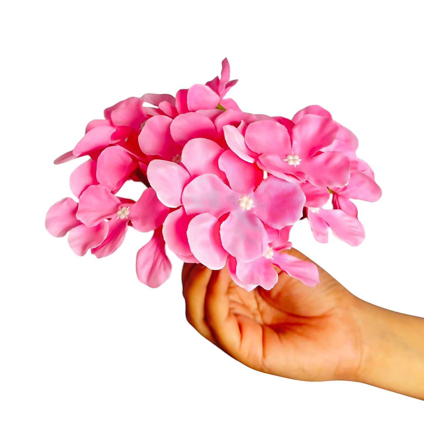 Light Pink Flr Hydrangea 27 Petals (Pack of 100)