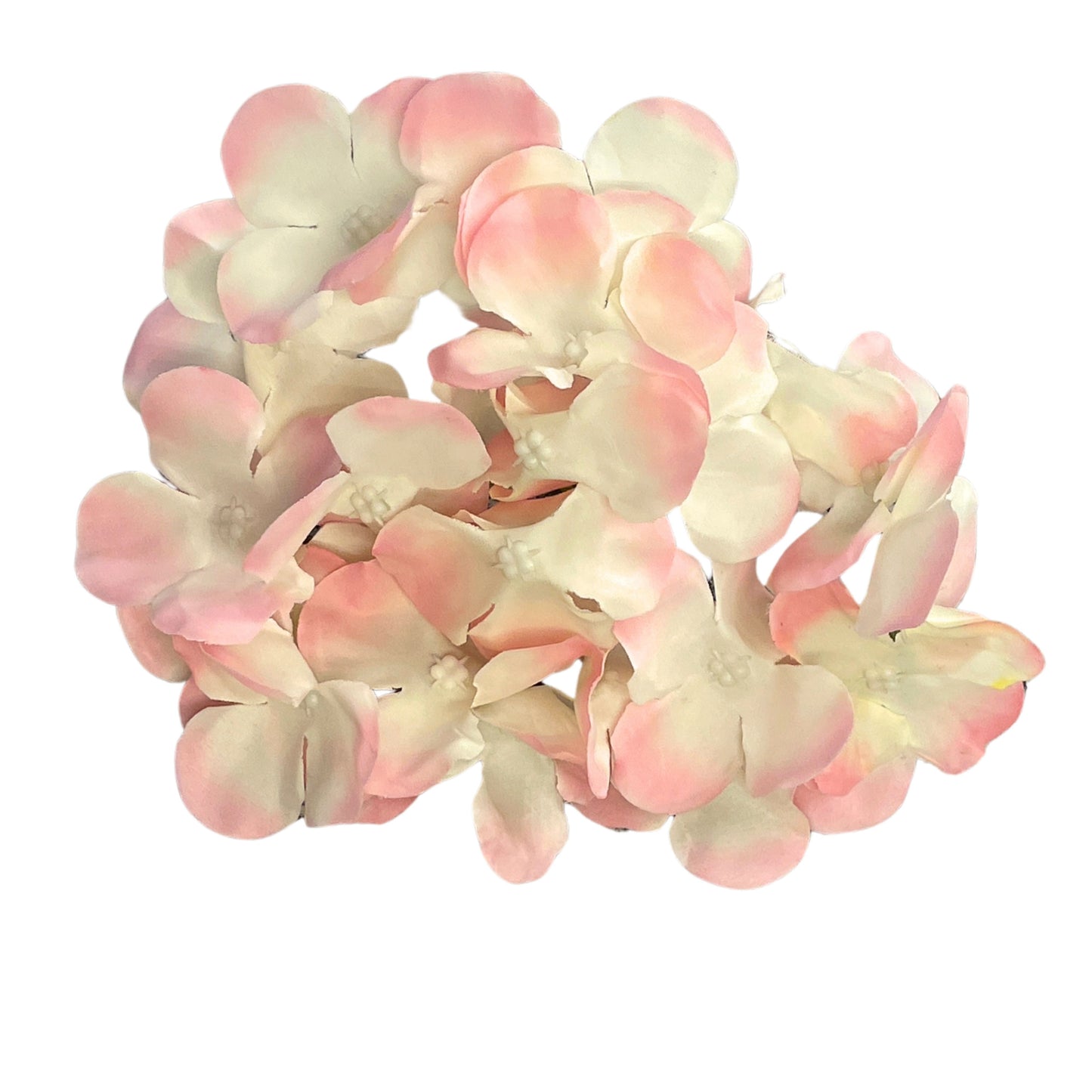 Light Pink Cream Flr Hydrangea 27 Petals (Pack of 100)