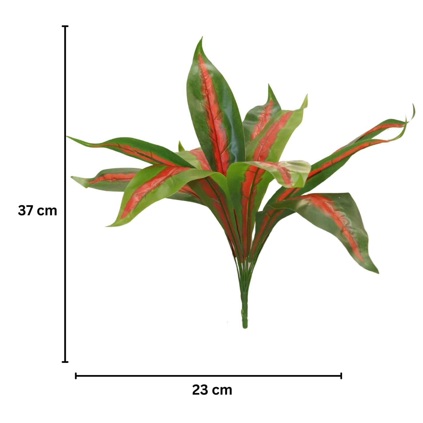 Bunch Forked Magnolia D/s Green Red (Pack of 5)