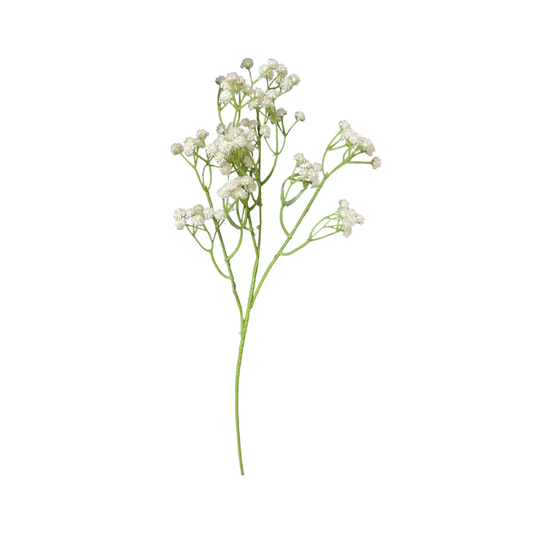 Gypsy Stick 24" White (Pack of 10)
