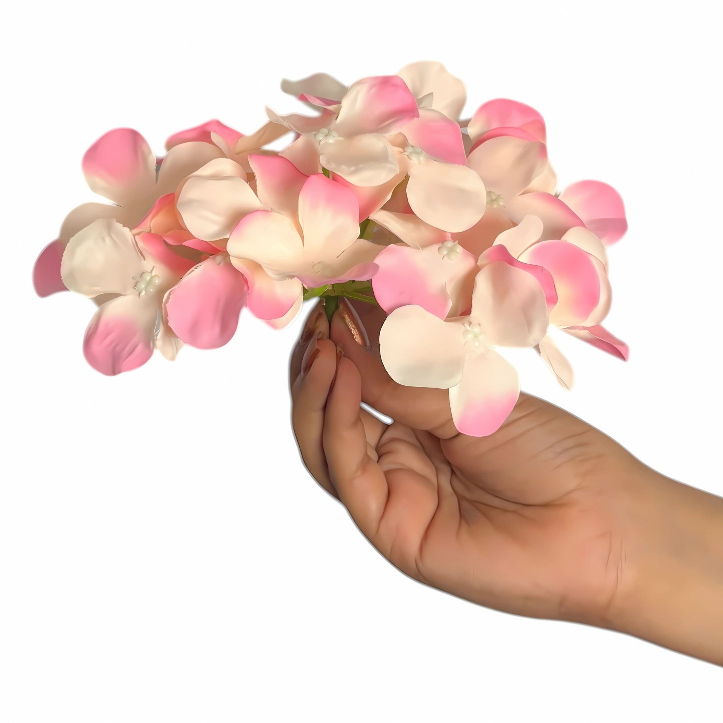 Light Pink Cream Flr Hydrangea 27 Petals (Pack of 100)
