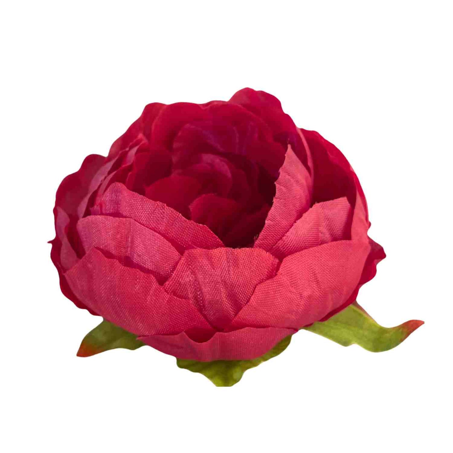 Red Peony (Pack of 50)