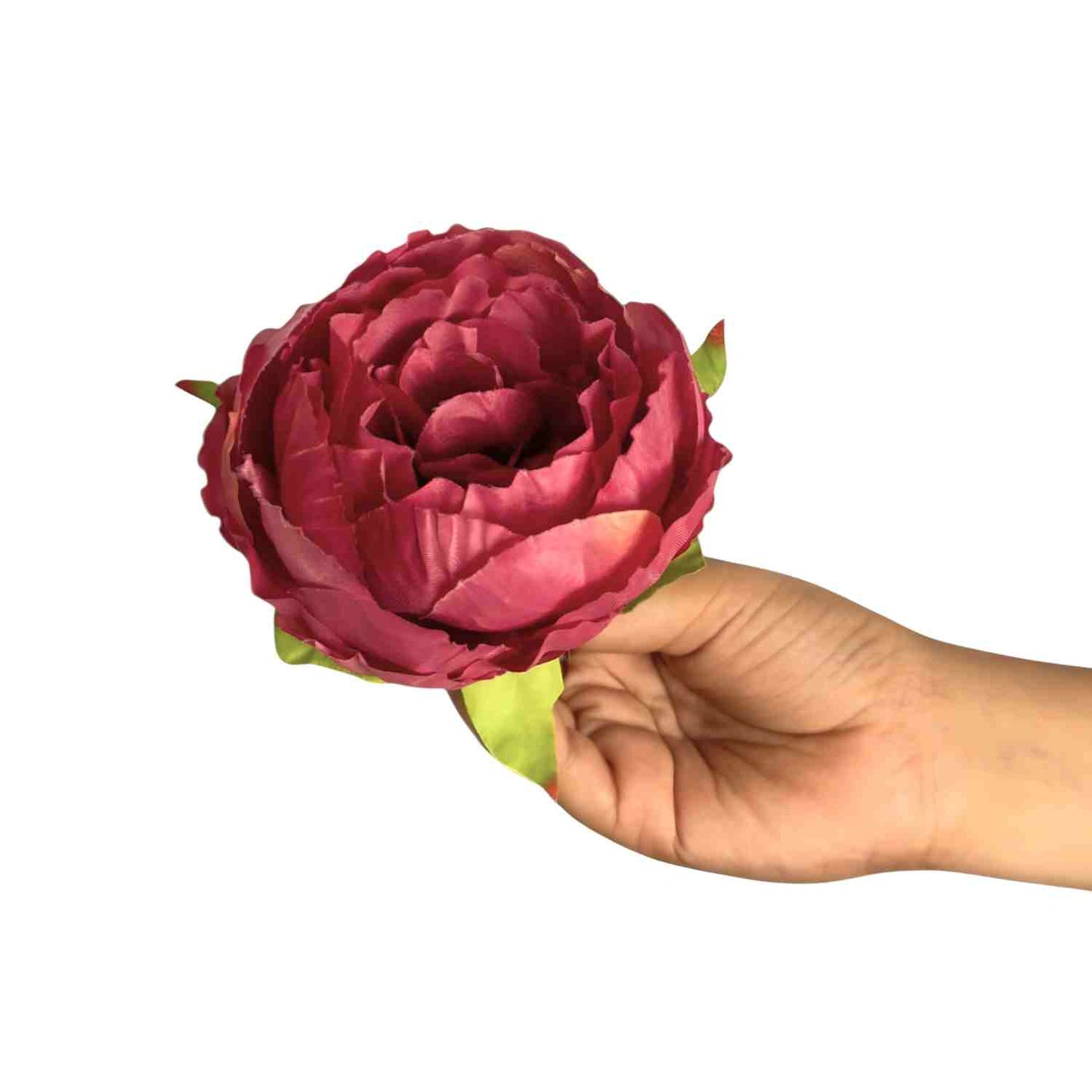Red Peony (Pack of 50)