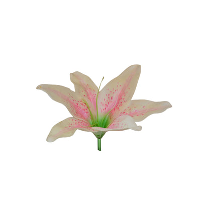 Light Peach Pink Flr Lily Head ( Pack of 100)